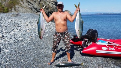 Аку.jpg (444.54 KIB) Просмотров: 21388 Аку.jpg