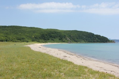 IMG_6448.jpg (443.84 KIB) Просмотров: 32350 IMG_6448.jpg