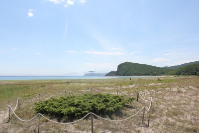 IMG_6428.jpg (447.79 KIB) Просмотров: 33520 IMG_6428.jpg