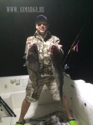 b8d1fdb3-36f6-4215-954d-0633b59fc5fc.jpg (79.55 KIB) Просмотров: 43223 b8d1fdb3-36f6-4215-954d-0633b59fc5fc.jpg