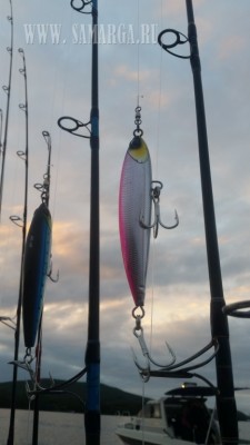 20170812_062828.jpg (54.56 KIB) Просмотров: 36002 20170812_062828.jpg