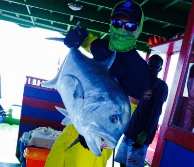 FullSizeRender-11-11-17-12-20-28.jpg (115.81 KIB) Просмотров: 22855 FullSizeRender-11-11-17-12-20-28.jpg