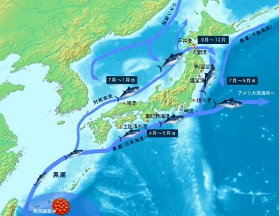 WhatsApp Image 2021-04-01 at 10.30.19.jpeg (103.47 KIB) Просмотров: 81293 WhatsApp Image 2021-04-01 at 10.30.19.jpeg